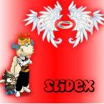 Slidex